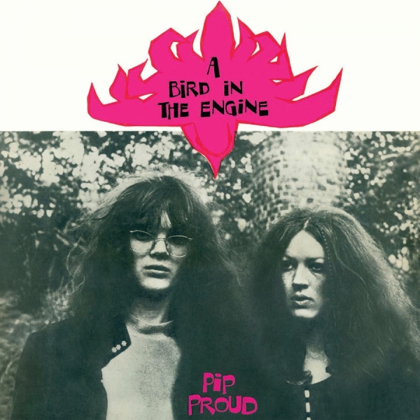 Proud Pip - A Bird In The Engine in der Gruppe VINYL / Pop bei Bengans Skivbutik AB (1136958)