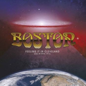 Darkher - Kingdom Field (180G Vinyl White) in der Gruppe VINYL bei Bengans Skivbutik AB (1141671)
