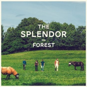 Splendor - Forest in der Gruppe VINYL bei Bengans Skivbutik AB (1142506)