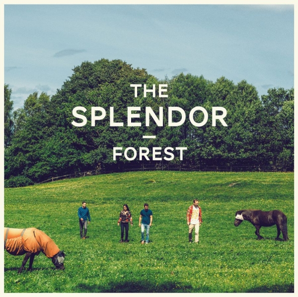 Splendor - Forest in der Gruppe VINYL / Bestseller bei Bengans Skivbutik AB (1142506)