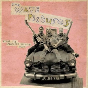 Wave Pictures - Great Big Flamingo Burning Moon in der Gruppe CD bei Bengans Skivbutik AB (1145975)