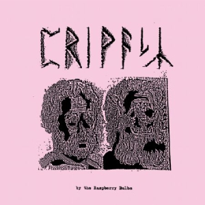 Raspberry Bulbs - Privacy in der Gruppe VINYL bei Bengans Skivbutik AB (1146798)
