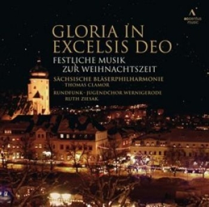 Various Artists - Gloria In Excelsis Deo in der Gruppe CD bei Bengans Skivbutik AB (1153953)