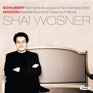 Schubert - Piano Works in der Gruppe CD bei Bengans Skivbutik AB (1154710)
