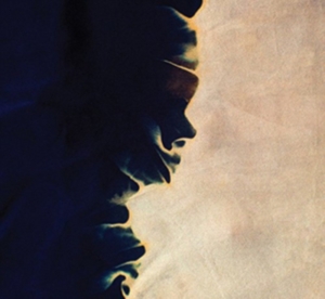 Rogers Mark & Mary Byrne - I Line My Days Along Your Weight in der Gruppe CD bei Bengans Skivbutik AB (1154893)