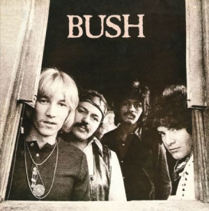 Bush - Bush in der Gruppe CD bei Bengans Skivbutik AB (1154965)