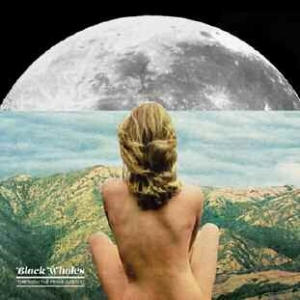 Black Whales - Through The Prism Gently in der Gruppe CD bei Bengans Skivbutik AB (1161164)