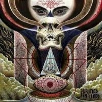 Purified In Blood - Flight Of A Dying Sun in der Gruppe VINYL bei Bengans Skivbutik AB (1161576)