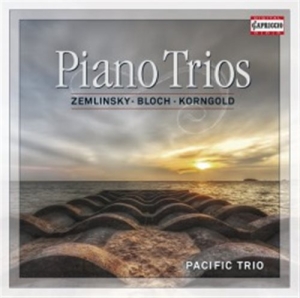Various Composers - Piano Trios in der Gruppe CD bei Bengans Skivbutik AB (1161817)
