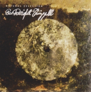 Rev. Dwight Frizzell - Natural Selection in der Gruppe CD bei Bengans Skivbutik AB (1164817)