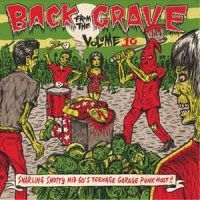 V/A - Back From The Grave Vol 10 - Vol.10 - Back From The Grave in der Gruppe VINYL bei Bengans Skivbutik AB (1166173)