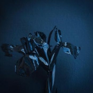 A Swarm Of The Sun - The Rifts in der Gruppe CD bei Bengans Skivbutik AB (1166187)