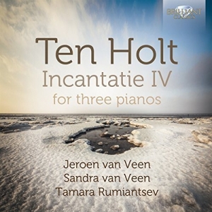 Ten Holt - Incantatie Iv in der Gruppe Externt_Lager / Naxoslager bei Bengans Skivbutik AB (1167978)