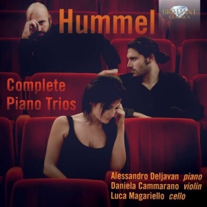 Hummel - Piano Trios in der Gruppe CD bei Bengans Skivbutik AB (1167979)