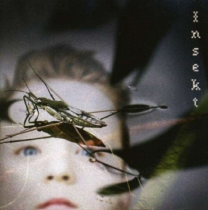 Carptree - Insect in der Gruppe CD bei Bengans Skivbutik AB (1172192)
