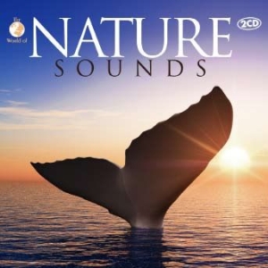 Various Artists - Nature Sounds in der Gruppe CD bei Bengans Skivbutik AB (1173413)