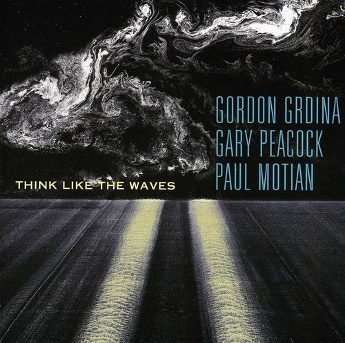 Grdina Gordon/Gary Peacock & Paul M - Think Like The Waves in der Gruppe MUSIK / SACD / Jazz/Blues bei Bengans Skivbutik AB (1176474)