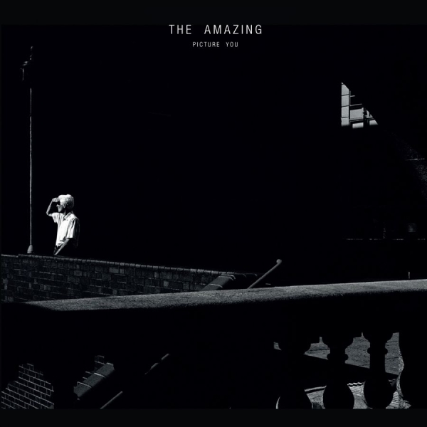 Amazing - Picture You in der Gruppe CD / Rock bei Bengans Skivbutik AB (1176618)