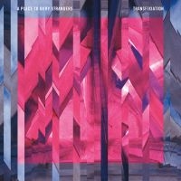A Place To Bury Strangers - Transfixiation in der Gruppe Minishops / A Place To Bury Strangers bei Bengans Skivbutik AB (1181521)