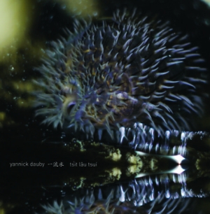 Dauby Yannick - Penghu Experimental Sound Studio Vo in der Gruppe VINYL bei Bengans Skivbutik AB (1185427)