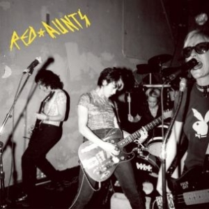 Red Aunts - Come Up For A Closer Look in der Gruppe VINYL bei Bengans Skivbutik AB (1185455)