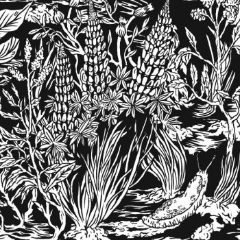 Eternal Tapestry - Wild Strawberries in der Gruppe CD / Bestseller bei Bengans Skivbutik AB (1191606)