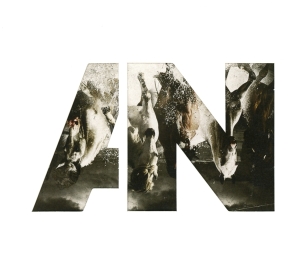 Awolnation - Run in der Gruppe CD bei Bengans Skivbutik AB (1193208)