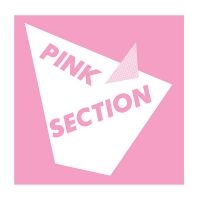 Pink Section - Pink Section in der Gruppe VINYL bei Bengans Skivbutik AB (1193796)