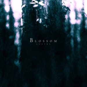 Lustre - Blossom in der Gruppe CD bei Bengans Skivbutik AB (1247388)
