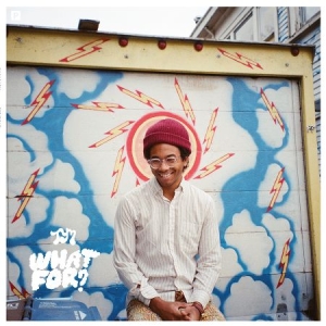 Toro Y Moi - What For? in der Gruppe VINYL bei Bengans Skivbutik AB (1247465)