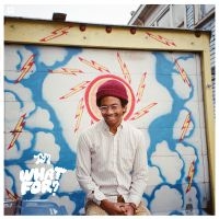 Toro Y Moi - What For? in der Gruppe CD bei Bengans Skivbutik AB (1247466)