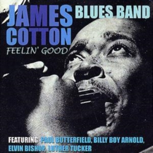 Cotton James - Feelin? Good in der Gruppe CD bei Bengans Skivbutik AB (1266486)