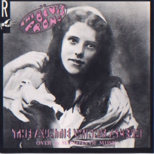 Bevis Frond - Auntie Winnie Album in der Gruppe CD bei Bengans Skivbutik AB (1266885)