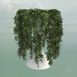 Errors - Lease Of Life in der Gruppe CD bei Bengans Skivbutik AB (1267147)