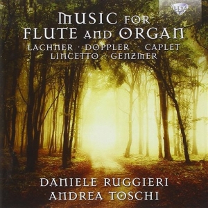 Various Composers - Music For Flute And Organ in der Gruppe CD bei Bengans Skivbutik AB (1273085)