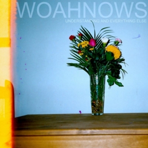 Woahnows - Understanding And Everything Else in der Gruppe VINYL bei Bengans Skivbutik AB (1275696)