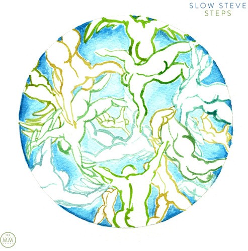 Slow Steve - Steps in der Gruppe VINYL / Rock bei Bengans Skivbutik AB (1276443)