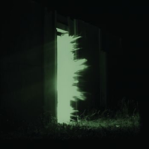 Fink - Horizontalism in der Gruppe VINYL bei Bengans Skivbutik AB (1277806)