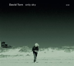 Torn David - Only Sky in der Gruppe CD bei Bengans Skivbutik AB (1278737)