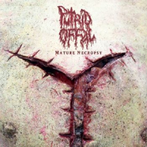Putrid Offal - Mature Necropsy (2Cd) in der Gruppe CD bei Bengans Skivbutik AB (1288023)