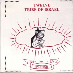 Mr Spaulding - Twelve Tribe Of Israel: Anthology in der Gruppe VINYL bei Bengans Skivbutik AB (1288715)