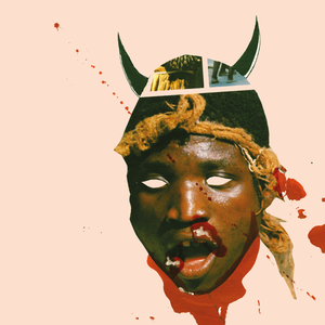 Laband Felix - Deaf Safari (2Lp+Cd) in der Gruppe VINYL bei Bengans Skivbutik AB (1296617)