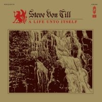 Von Till Steve - A Life Unto Itself (Vinyl Lp) in der Gruppe VINYL bei Bengans Skivbutik AB (1296772)