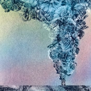 Daughn Gibson - Carnation in der Gruppe VINYL bei Bengans Skivbutik AB (1312464)