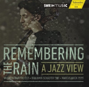 Various Composers - Remembering The Rain - A Jazz View in der Gruppe CD bei Bengans Skivbutik AB (1313571)