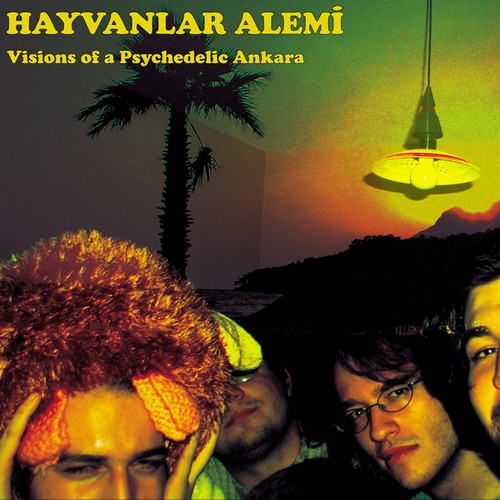 Hayvanlar Alemi - Visions Of A Psychedelic Ankara in der Gruppe VINYL / Rock bei Bengans Skivbutik AB (1333787)