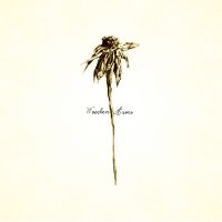 Patrick Watson - Wooden Arms in der Gruppe VINYL bei Bengans Skivbutik AB (1333942)