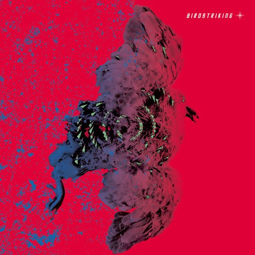 Birdstriking - Birdstriking in der Gruppe CD / Rock bei Bengans Skivbutik AB (1334845)