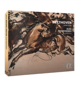 Beethoven - Variations in der Gruppe CD bei Bengans Skivbutik AB (1337005)