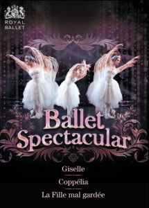 Various Composers - Ballet Spectacular in der Gruppe DVD & BLU-RAY bei Bengans Skivbutik AB (1348217)